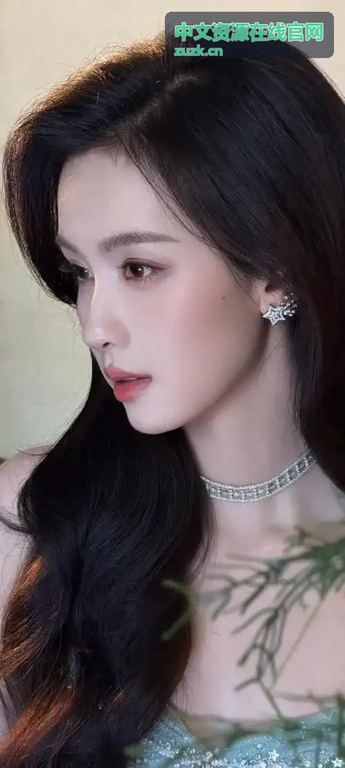 中文资源在线官网 - 核心网络协议中文开发指南